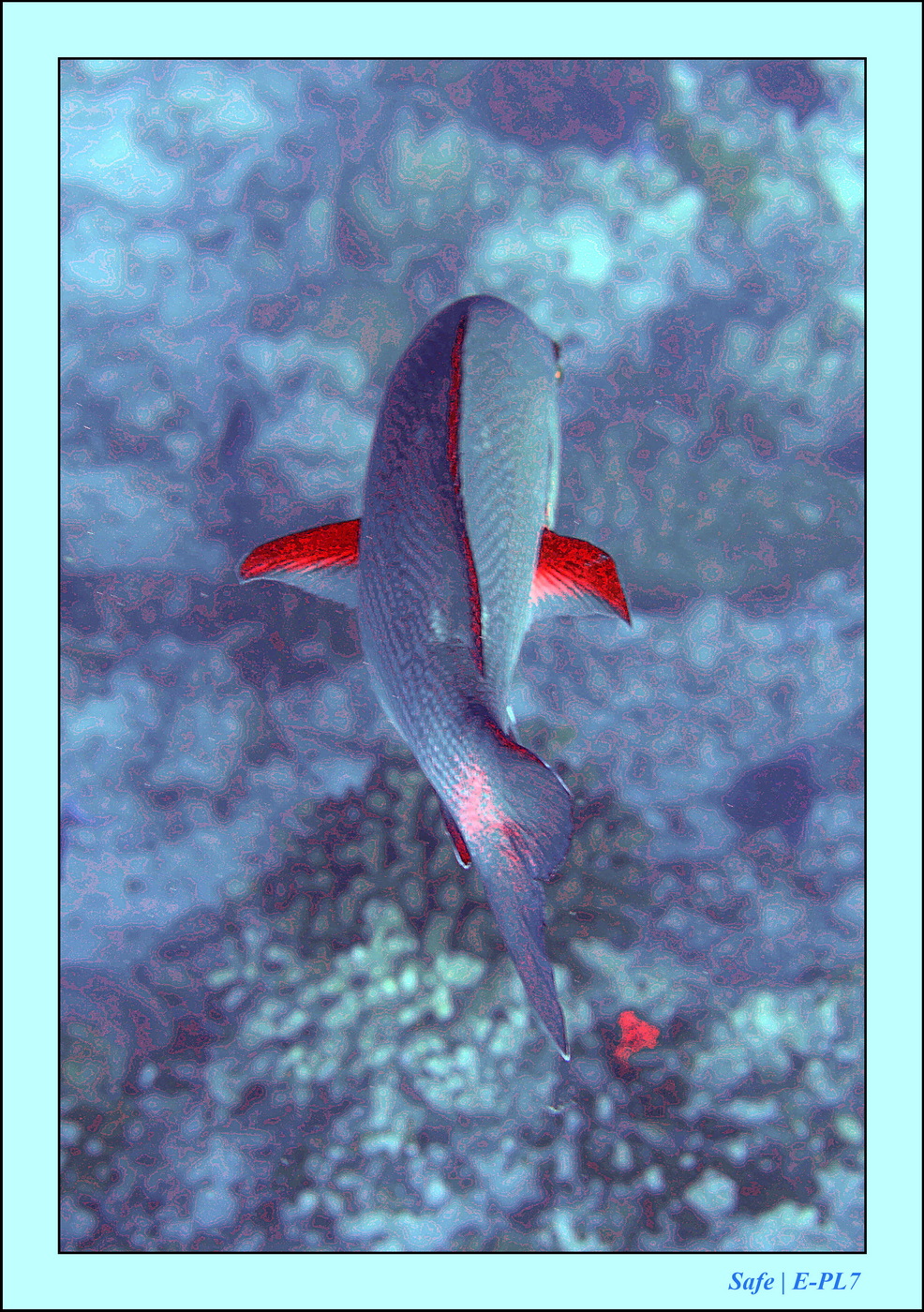 2023 - 07 - Sandies Bathala - 116